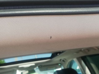 06_nissan_murano_2017_09052020